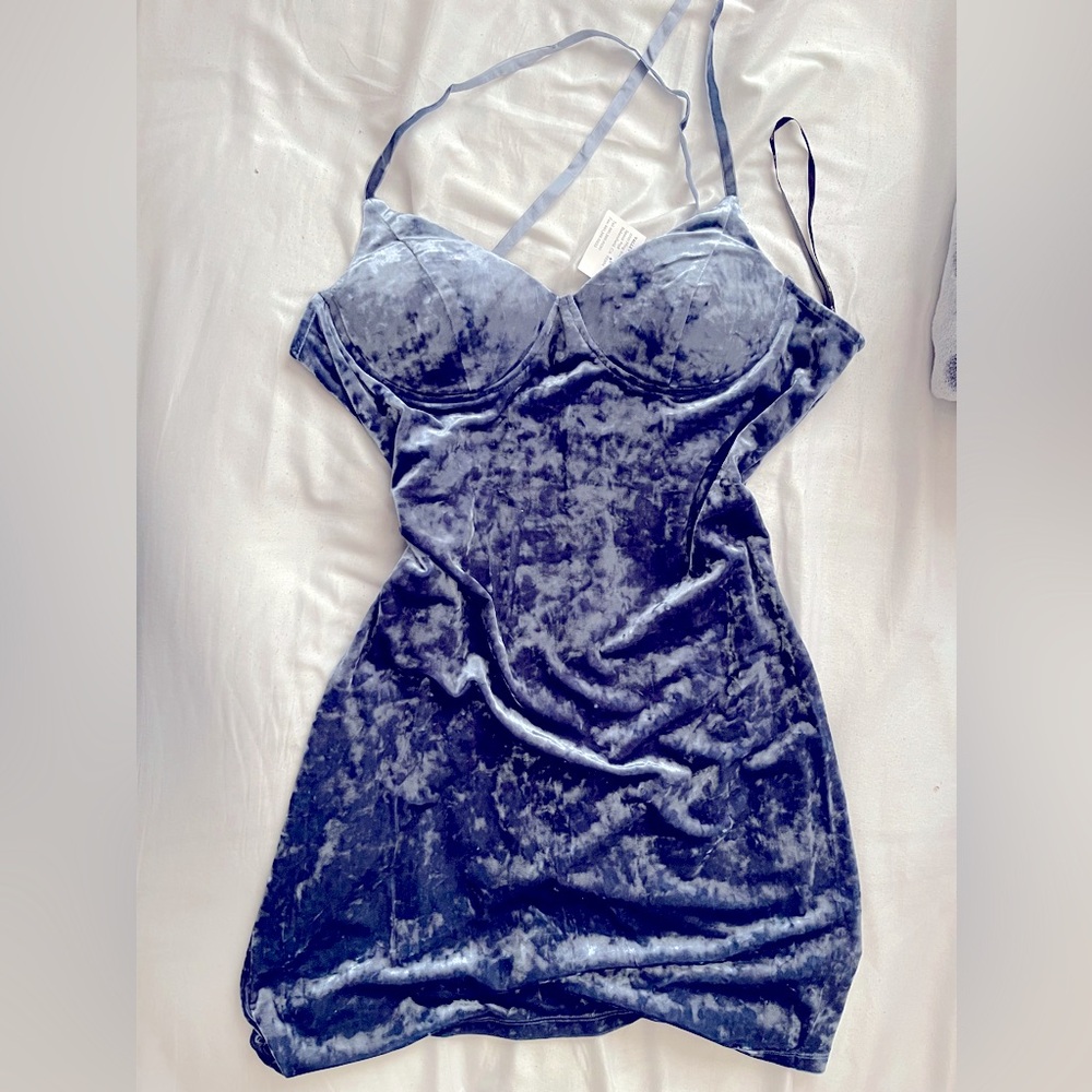 Express Blue Velvet Dress